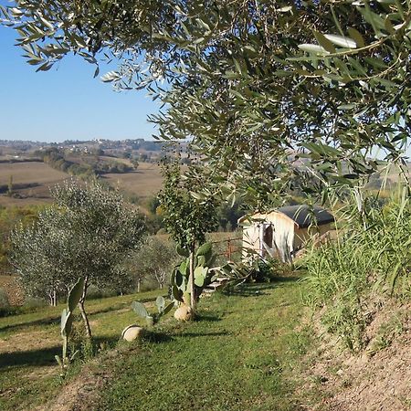 La Luna Nell'Orto-Casa Vacanza Ecologica E Agricoltura Biodinamica Barchi Dış mekan fotoğraf