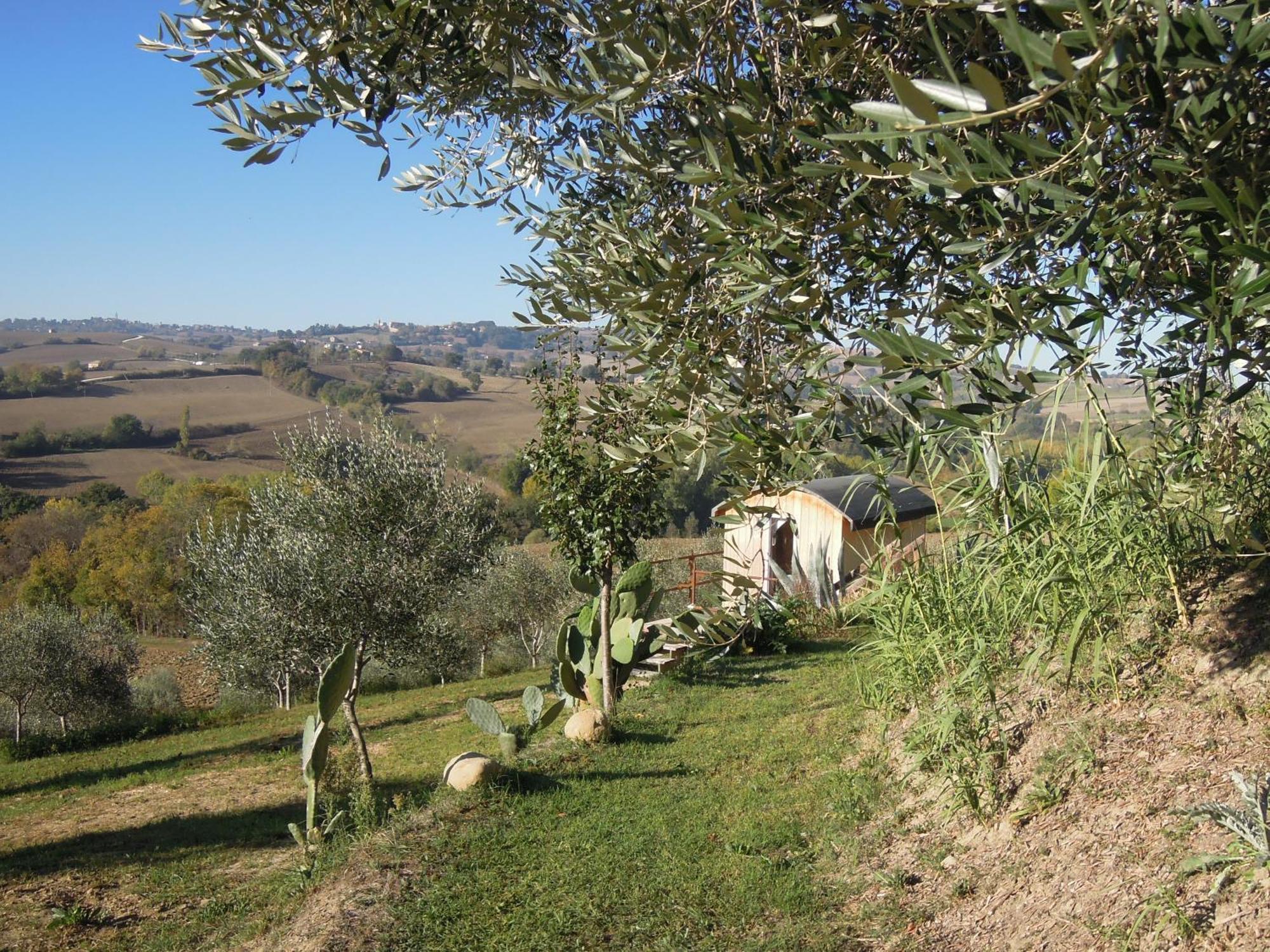 La Luna Nell'Orto-Casa Vacanza Ecologica E Agricoltura Biodinamica Barchi Dış mekan fotoğraf