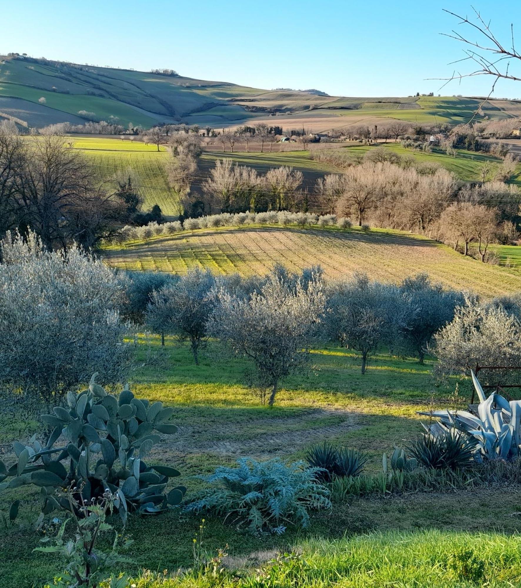 La Luna Nell'Orto-Casa Vacanza Ecologica E Agricoltura Biodinamica Barchi Dış mekan fotoğraf